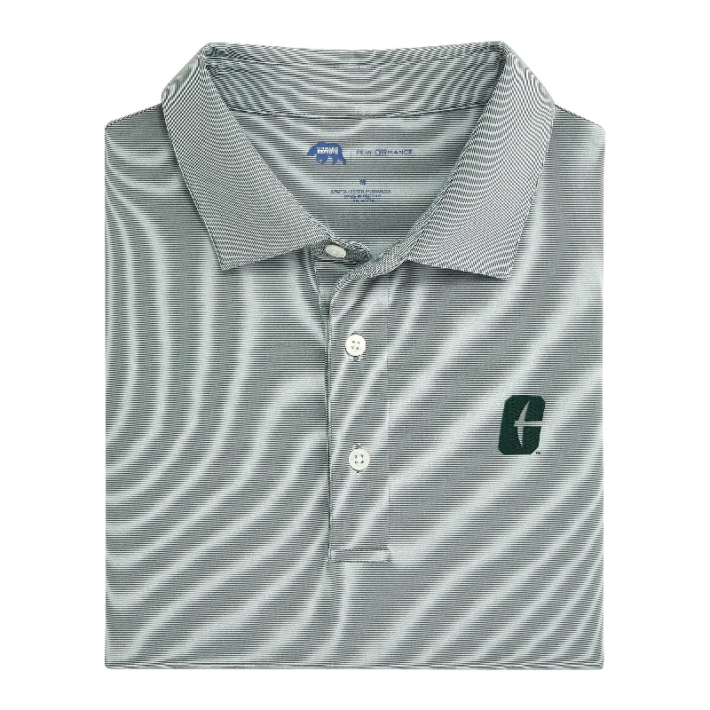 men's slim fit polo shirts-Hairline Stripe UNC Charlotte Performance Polo