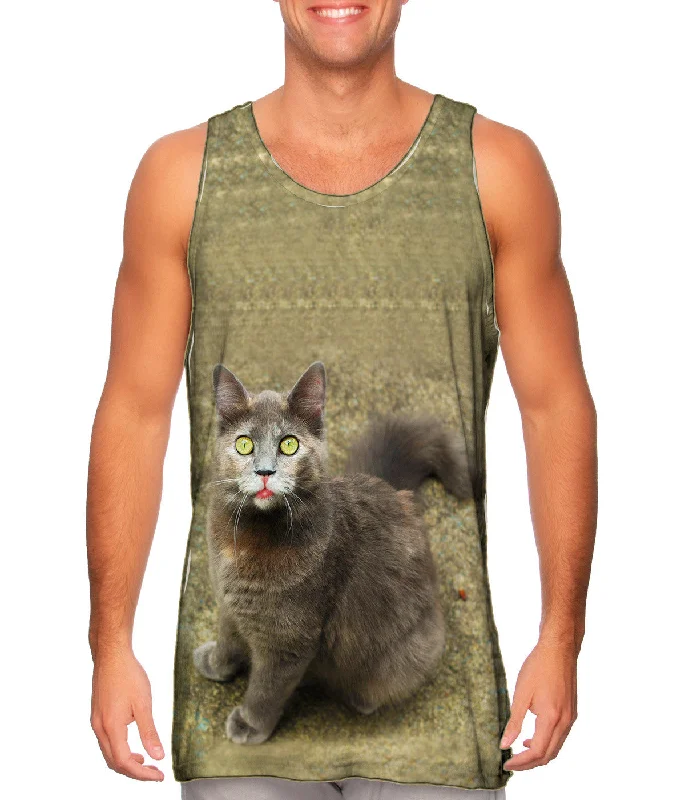 men's tank top new-Wow Brown Cat